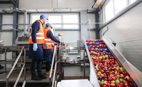 Procesatorii de fructe și legume PSPA - agroexpert.md