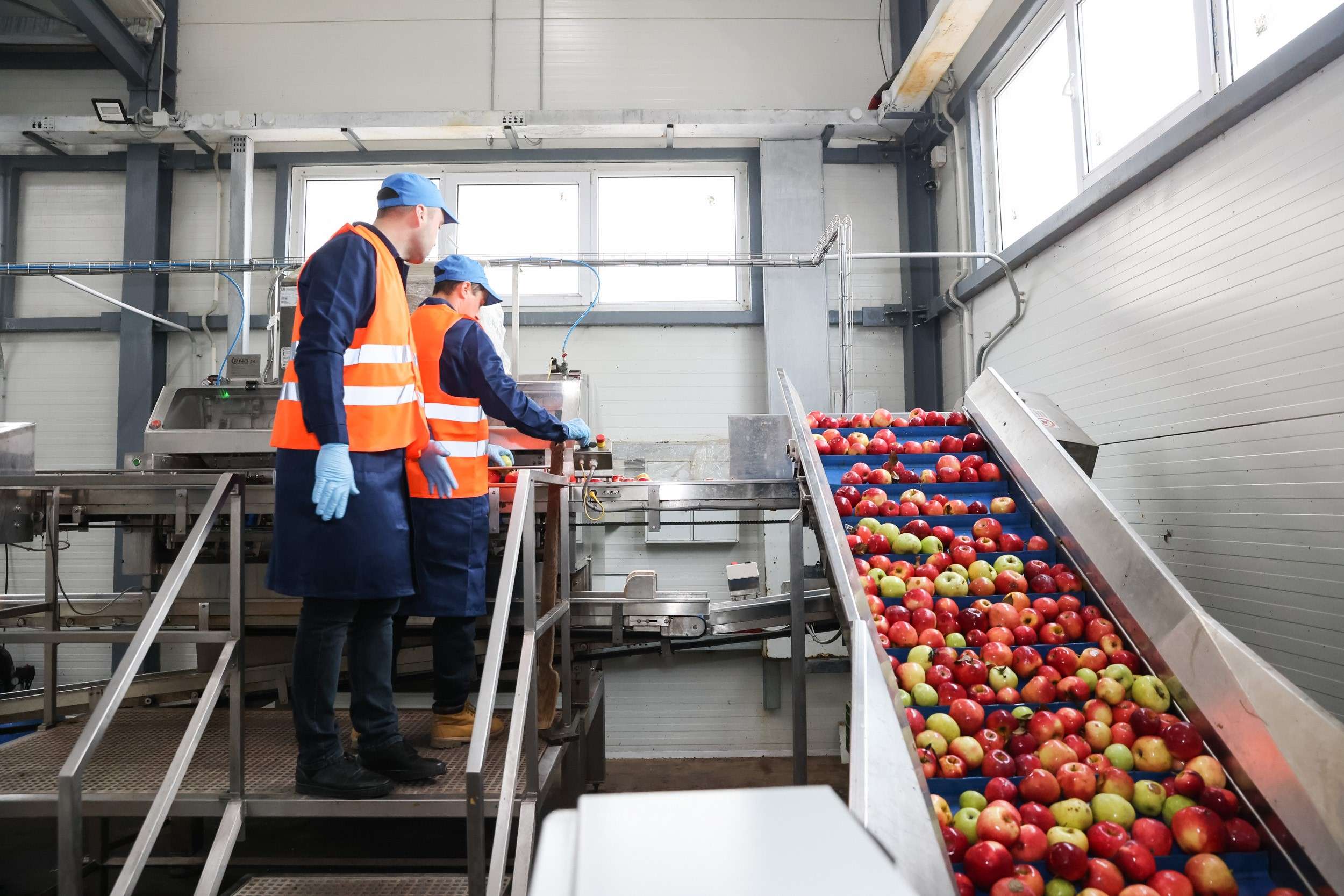 Procesatorii de fructe și legume PSPA - agroexpert.md