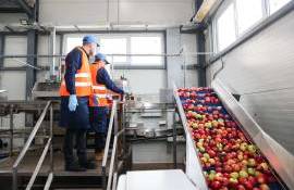 Procesatorii de fructe și legume PSPA - agroexpert.md