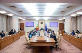 Condiții actualizate pentru importul plantelor și produselor vegetale - agroexpert.md