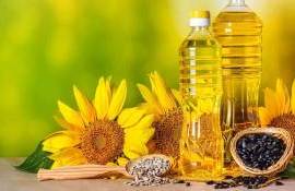 Цены на растительные масла растут из-за войны и высоких цен на нефть - agroexpert.md