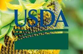 Отчёт WASDE предполагает рост мирового производства подсолнечника на 12% - agroexpert.md