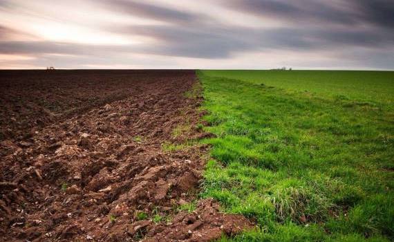 schimbări de temperatură - agroexpert.md