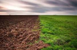 schimbări de temperatură - agroexpert.md