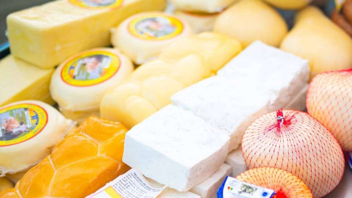 Moldovenii mănâncă tot mai mult cașcaval și tot mai puțină brânză de oi - agroexpert.md