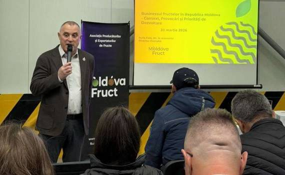 Livezile viitorului pornesc de la alegerea portaltoiului potrivit - agroexpert.md