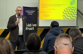 Livezile viitorului pornesc de la alegerea portaltoiului potrivit - agroexpert.md