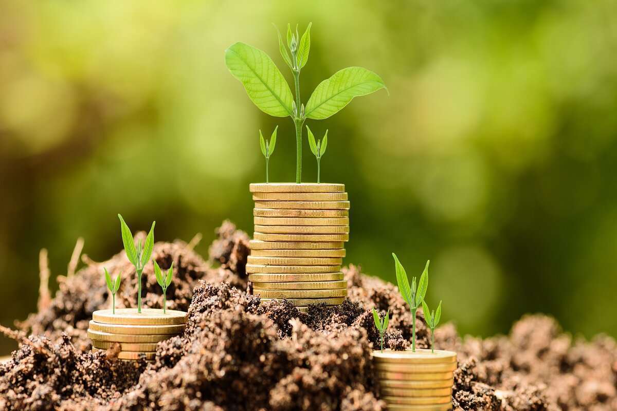 prin programul FCA au fost finanțate 408 afaceri - agroexpert.md