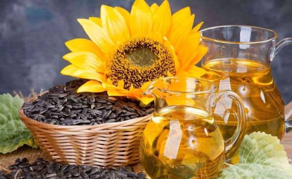 Сезонная модель поведения цен на подсолнечник в Украине сейчас не работает - agroexpert.md