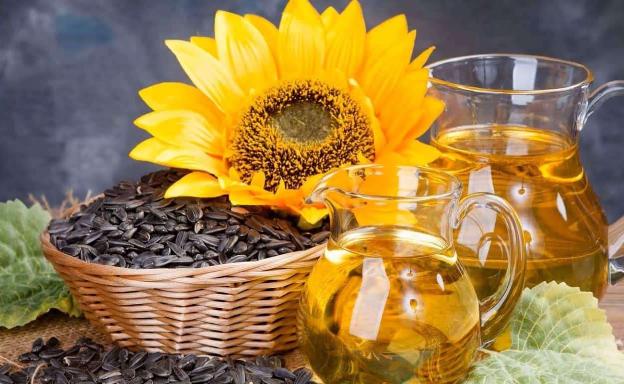 Сезонная модель поведения цен на подсолнечник в Украине сейчас не работает - agroexpert.md