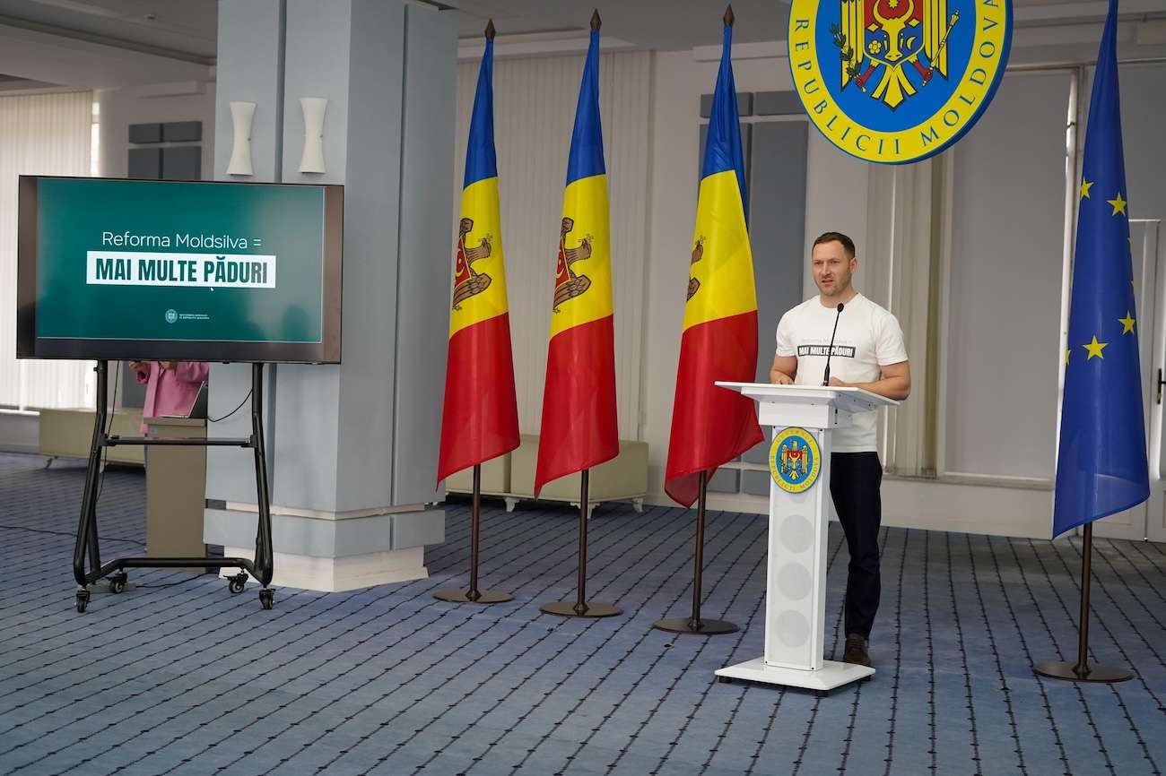 Masa lemnoasă va fi comercializată exclusiv din depozite - agroexpert.md