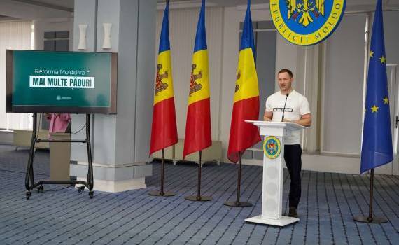 Masa lemnoasă va fi comercializată exclusiv din depozite - agroexpert.md