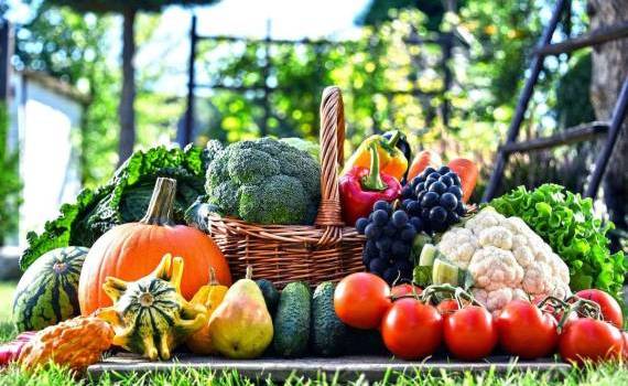 Ce schimbări aduce PSPA pentru sectorul legumicol din Republica Moldova - agroexpert.md