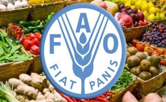 Продовольствие в мире дорожает: основная причина – война в Иране - agroexpert.md