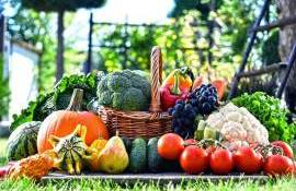 Ce schimbări aduce PSPA pentru sectorul legumicol din Republica Moldova - agroexpert.md