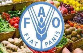 Продовольствие в мире дорожает: основная причина – война в Иране - agroexpert.md