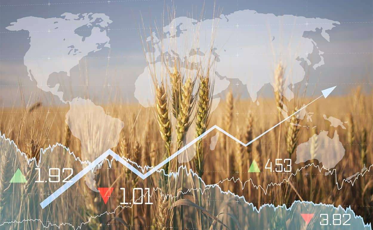 Мировой рынок зерна и масличных: цена на пшеницу росла, на сою снижалась - agroexpert.md