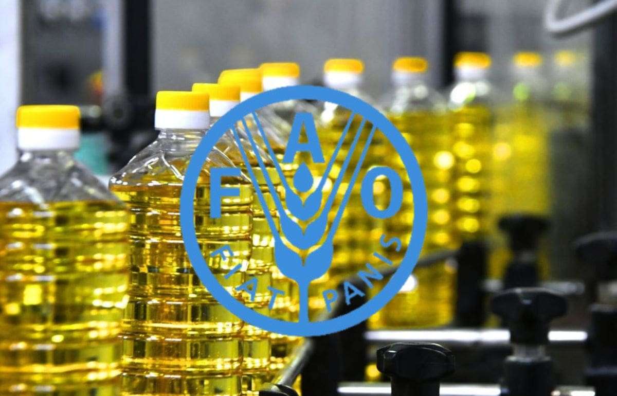 В марте индекс цен ФАО на растительные масла увеличился на 5,1 процентов - agroexpert.md