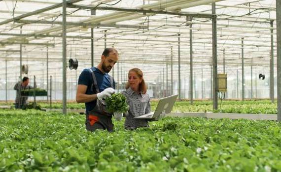 consiliere și mentorat în agricultură pentru fermieri - agroexpert.md