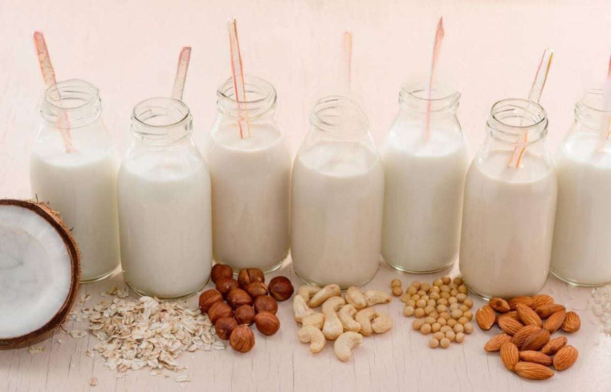 Молочные альтернативы: прогноз роста на 7,4% в год и удвоение рынка к 2036 - agroexpert.md