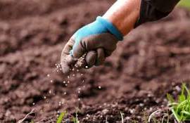 Explozie de prețuri la îngrășăminte - agroexpert.md