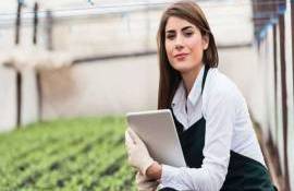 principalele bariere pentru femeile antreprenoare - agroexpert.md