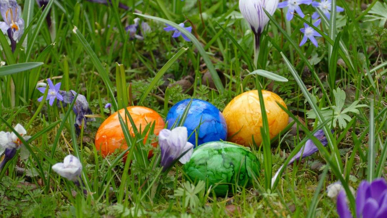 Cum va fi vremea de Paști - agroexpert.md