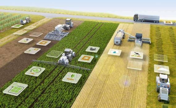 Как снизить затраты и повысить урожайность без миллионных инвестиций - agroexpert.md