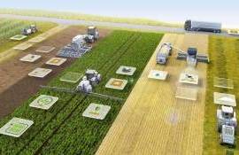 Как снизить затраты и повысить урожайность без миллионных инвестиций - agroexpert.md