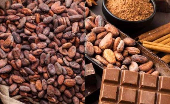 Мировые цены на какао-бобы достигли рекордно низкого уровня - agroexpert.md