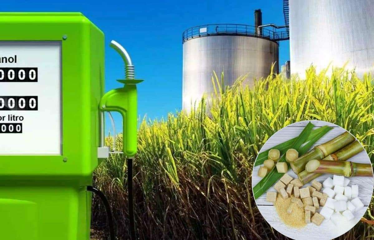 Этанол оказывает давление на глобальный рынок сахара - agroexpert.md