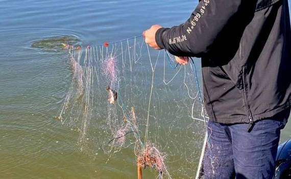 braconaj piscicol la Ștefan Vodă - agroexpert.md