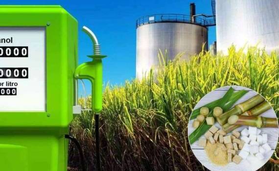 Этанол оказывает давление на глобальный рынок сахара - agroexpert.md