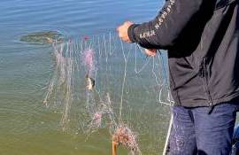 braconaj piscicol la Ștefan Vodă - agroexpert.md