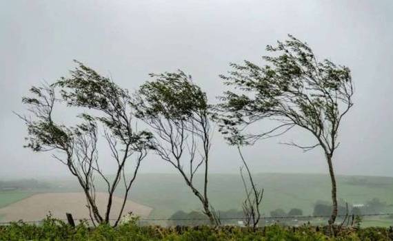 Cod galben de vânt puternic în țară - agroexpert.md