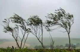 Cod galben de vânt puternic în țară - agroexpert.md