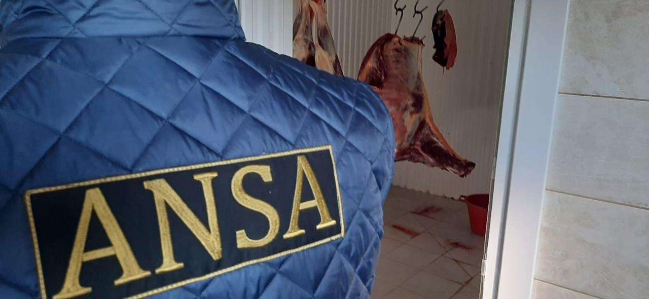 Reacția ANSA după acuzațiile aduse de crescătorii de porci - agroexpert.md