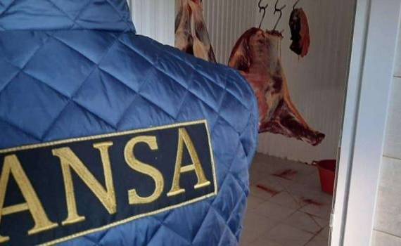 Reacția ANSA după acuzațiile aduse de crescătorii de porci - agroexpert.md
