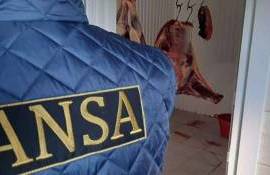 Reacția ANSA după acuzațiile aduse de crescătorii de porci - agroexpert.md