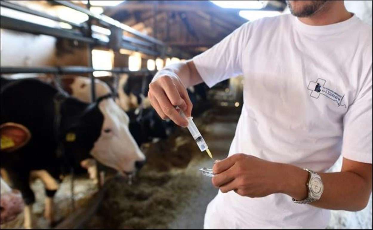 ЕС исключил Бразилию из списка стран с упрощённым доступом на рынок - agroexpert.md