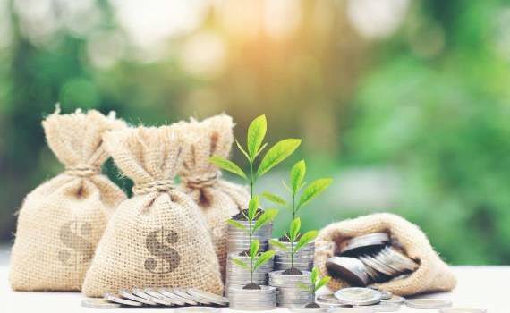 Noi subvenții pentru fermieri: AIPA a autorizat 19,26 milioane de lei - agroexpert.md
