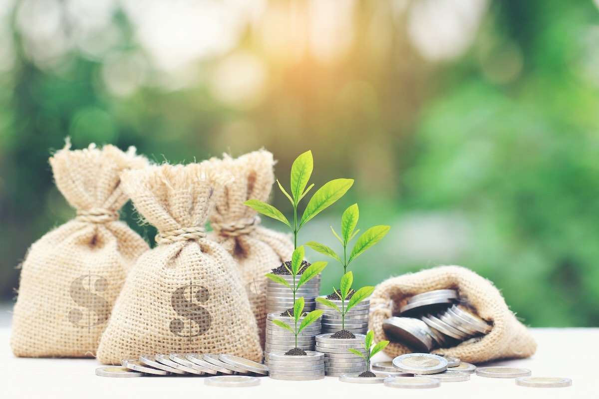 Noi subvenții pentru fermieri: AIPA a autorizat 19,26 milioane de lei - agroexpert.md