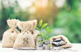 Noi subvenții pentru fermieri: AIPA a autorizat 19,26 milioane de lei - agroexpert.md