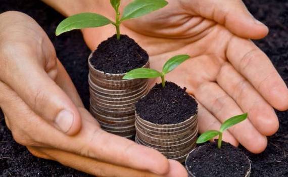 Fermierii din R. Moldova vor primi noi sprijine financiare în 2026 - agroexpert.md