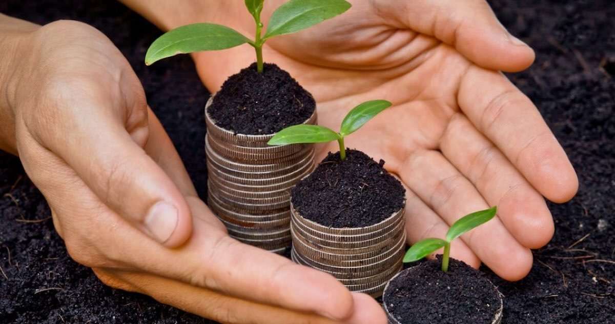 Fermierii din R. Moldova vor primi noi sprijine financiare în 2026 - agroexpert.md