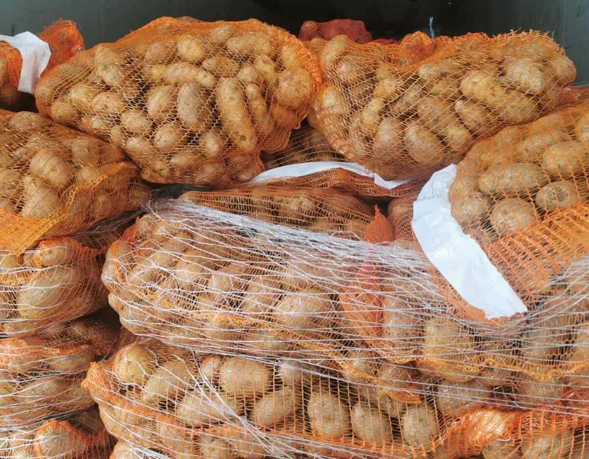 Marfă respinsă la frontieră: 21 250 kg de cartofi au fost returnați- agroexpert.md