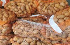 Marfă respinsă la frontieră: 21 250 kg de cartofi au fost returnați- agroexpert.md