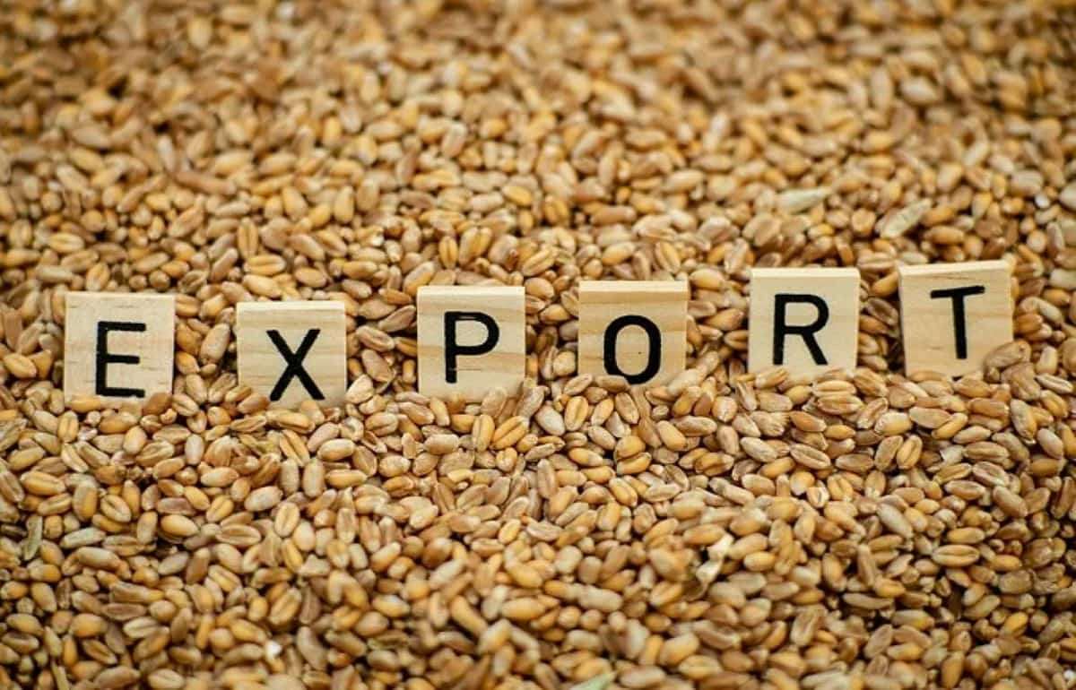 Для европейских экспортеров пшеницы 2026/27 МГ будет нелёгким - agroexpert.md