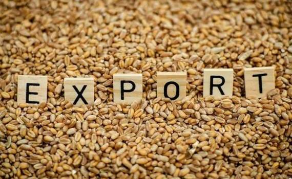 Для европейских экспортеров пшеницы 2026/27 МГ будет нелёгким - agroexpert.md