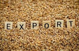 Для европейских экспортеров пшеницы 2026/27 МГ будет нелёгким - agroexpert.md